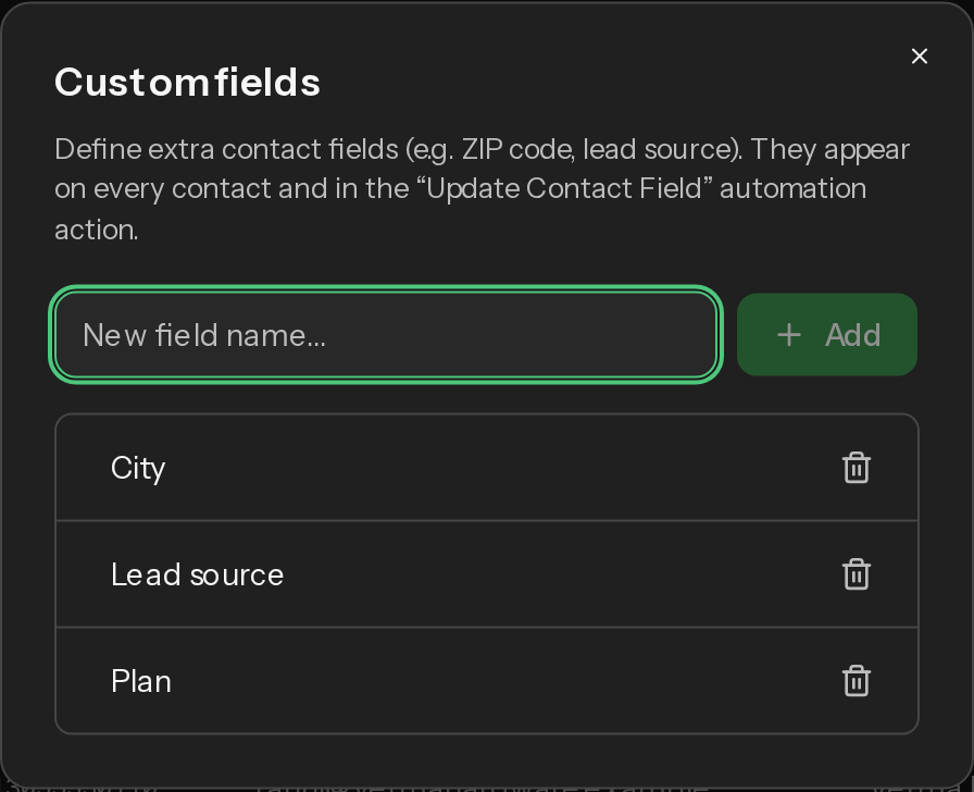 The Custom fields dialog listing the workspace's custom fields, with an input to add a new field.
