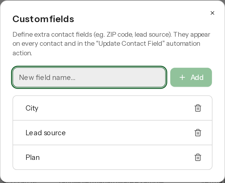 The Custom fields dialog listing the workspace's custom fields, with an input to add a new field.